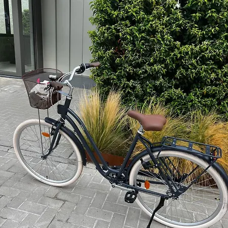 Le Petit Monde De Camden * Nieuwpoort