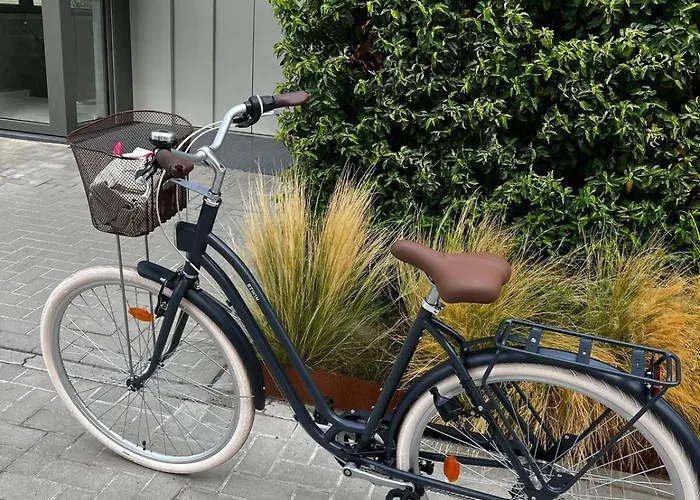 Le Petit Monde De Camden * Nieuwpoort